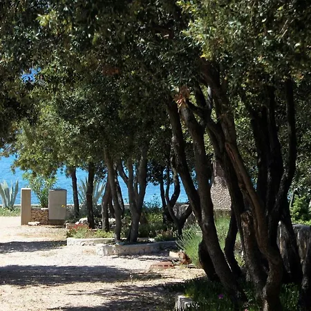 By The Sea Mandre, Pag - 6284 Apartment Kolan